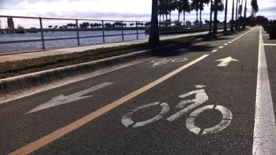 Trek Allant+ 6 Stagger L Galactic Grey 545 Produktbild 2