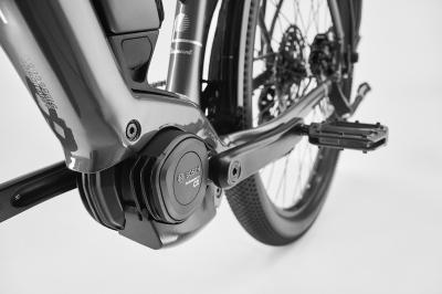 Diamant Zing Trip Core MS L Baumwollweiss Metallic 545Wh Produktbild 2