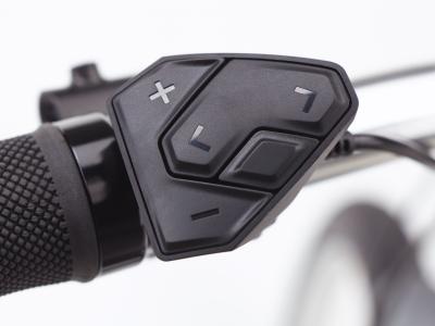 Electra Townie Path Go! 5i Step Thru EU M Matte Rosewood Produktbild 2